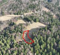 Lazy pod Makytou – Rekreačný pozemok na chatku / mobilný domček - Lúky a lesy v Lazy pod Makytou sa rozprestierajú medzi hustými stromami.