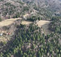 Lazy pod Makytou – Lesný pozemok - Kopcovitá krajina, kde Poľnohospodárske a lesné pozemky pri Lazoch pod Makytou splývajú s hustými lesmi.