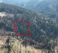 Lazy pod Makytou – Lesný pozemok - Husté lesy s označenou parcelou v poľnohospodárskych a lesných pozemkoch Lazy pod Makytou.