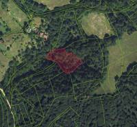 Lazy pod Makytou – Lesný pozemok - Satelitná mapa poľnohospodárskych a lesných pozemkov v Lazy pod Makytou, s vyznačenou parcelou.