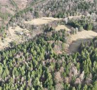 Lazy pod Makytou – Lesný pozemok - Lesy a lúky v Lazy pod Makytou, Poľnohospodárske a lesné pozemky obklopené prírodou.