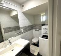 Prenájom pekný 2 izbový byt Šancová ulica, Bratislava III. Nové Mesto - Kúpeľňa v 2-izbovom byte s umývadlom, práčkou a WC.