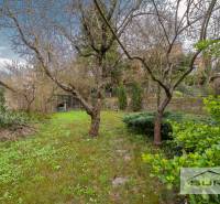 PRENÁJOM 4-IZBOVÉHO BYTU | ZÁHRADA | DVOJGARÁŽ | KRČMÉRYHO ULICA - Záhrada pri 4-izbovom byte na Krčméryho ulici v Bratislave - Starom Meste.