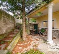 PRENÁJOM 4-IZBOVÉHO BYTU | ZÁHRADA | DVOJGARÁŽ | KRČMÉRYHO ULICA - Exteriér 4-izbového bytu na Krčméryho v Bratislave - Staré Mesto so stromom a schodiskom.