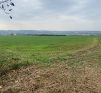 Vinica s pozemkom na výstvabu chaty - Žemberovce - znížená cena  - Na obrázku je rozľahlé pole na ulici Zadná hora - Vinice s výhľadom na Vinice.