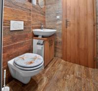 Rodinný dom s veľkým pozemkom a priestorom na podnikanie – T.Jastrabie - Kúpeľňa v rodinnom dome s dreveným dekorom, toaletou a umývadlom.