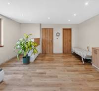 Rodinný dom s veľkým pozemkom a priestorom na podnikanie – T.Jastrabie - Izba s podlahou s dreveným dekorom, rastlinou a dvojicou dverí v Rodinnom dome.