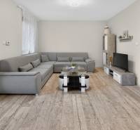 Rodinný dom s veľkým pozemkom a priestorom na podnikanie – T.Jastrabie - Obývacia izba v rodinnom dome s podlahou s dreveným dekorom a sivou sedačkou.