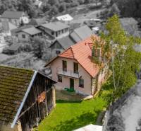 Rodinný dom s veľkým pozemkom a priestorom na podnikanie – T.Jastrabie - Rodinný dom v Trenčianskom Jastrabí s červenou strechou a udržiavanou záhradou.