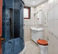 Rodinný dom s veľkým pozemkom a priestorom na podnikanie – T.Jastrabie - Kúpeľňa s hydromasážnym sprchovacím kútom a toaletou v rodinnom dome.