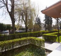 NA PREDAJ,2-IZBOVÝ TEHLOVÝ BYT,KOŠICE-SEVER,LOMNICKÁ UL. - Záhrada s chodníkom a zaparkované autá na Lomnickej ulici v Košiciach, mestská časť Sever.