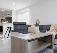 NOVOSTAVBA BUNGALOVU S MNOŽSTVOM PRIESTORU, v slepej ulici, Pružina - Obývačka s podlahou s dreveným dekorom, šedou sedačkou a kuchynským kútom v rodinnom dome.