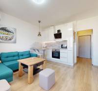 Pekný 2-izbový byt s lodžiou | investičná príležitosť | - Obývacia izba s kuchyňou, tyrkysovou sedačkou a podlahou s dreveným dekorom v 2-izbovom byte.