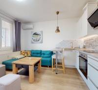 Pekný 2-izbový byt s lodžiou | investičná príležitosť | - 2-izbový byt s kuchyňou, pohovkou, podlahou s dreveným dekorom a moderným osvetlením.