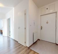 | Priestranný 2,5-izb. byt s walk-in šatníkom | parkovanie | - Chodba v 2-izbovom byte s podlahou s dreveným dekorom a vstupnými dverami.