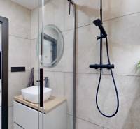 PREDAJ, 3 izbový dizajnový byt na Lidickom námestí, Košice - Furča - Kúpeľňa v 3-izbovom byte so sprchovým kútom, umývadlom a dekoratívnymi prvkami.