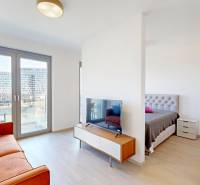 Nový, ešte neobývaný 1,5-izbový byt, parkovanie, Metropolis, Bottova - Obývacia izba a spálňa v 2-izbovom byte s podlahou s dreveným dekorom.