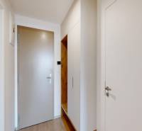 Nový, ešte neobývaný 1,5-izbový byt, parkovanie, Metropolis, Bottova - Vstupná hala v 2-izbovom byte s podlahou s dreveným dekorom a úložným priestorom.