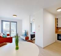 Nový, ešte neobývaný 1,5-izbový byt, parkovanie, Metropolis, Bottova - 2-izbový byt s podlahou s dreveným dekorom, jedálenským stolom a pohovkou.