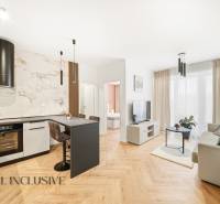 Na prenájom 2-izb. byt s terasou, Dun. Streda -Florida - Obývacia izba a kuchyňa v 4-izbovom byte s podlahou s dreveným dekorom a svetlou výzdobou.