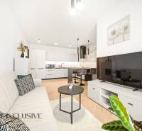 Na prenájom 2-izb. byt s terasou, Dun. Streda -Florida - Obývacia izba s kuchyňou v 4-izbovom byte s podlahou s dreveným dekorom.