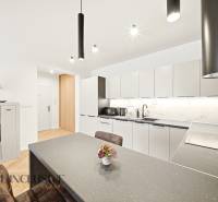 Na prenájom 2-izb. byt s terasou, Dun. Streda -Florida - Kuchyňa v 4-izbovom byte s jemným dekorom na stenách a jemnými farbami.