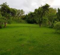 PREDAJ – Rodinný dom s druhou samostatnou stavbou, garážou  - Zeleň a stromy v záhrade pri rodinnom dome v Blatnici na ulici Blatnica.