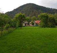 PREDAJ – Rodinný dom s druhou samostatnou stavbou, garážou  - Rodinný dom v Blatnici na ulici Blatnica obklopený zeleňou a stromami.