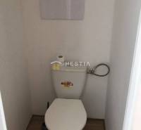 NOVINKA Prenájom 2 izbového bytu na Robotníckej ulici, voľný od 01.05. - Toaleta s podlahou s dreveným dekorom v 2-izbovom byte.