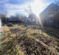 Na predaj rodinný dom, gastro prevádzka – Senica, Robotnícka ulica - Záhrada s holými stromami a oplotenými záhonmi v Senici, osvetlená slnečnými lúčmi.