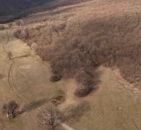 Príbelce – 3.748 m2 Lesný pozemok - Lúky a lesné porasty v okolí Príbeliec. Poľnohospodárske a lesné pozemky s cestou.