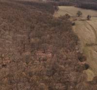 Príbelce – 3.748 m2 Lesný pozemok - Krajina v Príbelsciach s lesnými a poľnohospodárskymi pozemkami prechádzajúcimi do otvorených lúk.
