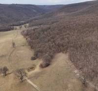 Príbelce – 3.748 m2 Lesný pozemok - Kopcovitá krajina v okolí Príbeliec so zmesou lesov a poľnohospodárskych pozemkov.