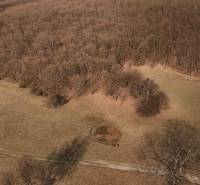 Príbelce – 3.748 m2 Lesný pozemok - Lesné a poľnohospodárske pozemky v Príbelciach zahŕňajú polia, les a cesty.
