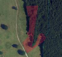 Príbelce – 3.748 m2 Lesný pozemok - Ortofotomapa poľnohospodárskych a lesných pozemkov v oblasti Príbelce, s vyznačenými parcelami.