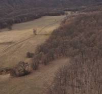 Príbelce – 3.748 m2 Lesný pozemok - Jesenná krajina Poľnohospodárskych a lesných pozemkov v okolí Príbeliec s cestnými stopami.