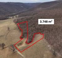 Príbelce – 3.748 m2 Lesný pozemok - Poľnohospodárske a lesné pozemky v okolí Príbeliec s vyznačenou plochou 3.748 m².