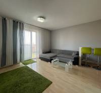 Prenájom 1 izbový byt v Galante, Hodská - Obývacia časť v 1-izbovom byte so sedačkou, zelenými kobercami a podlahou s dreveným dekorom.