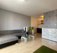 Prenájom 1 izbový byt v Galante, Hodská - Obývacia izba v 1-izbovom byte s podlahou s dreveným dekorom a kuchynským kútom.