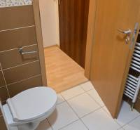 Prenájom 1 izbový byt v Galante, Hodská - Kúpeľňa v 1-izbovom byte s toaletou, dlažbou a hnedými obkladmi.