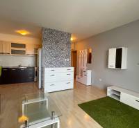 Prenájom 1 izbový byt v Galante, Hodská - Obývačka v 1-izbovom byte s kuchynským kútom a podlahou s dreveným dekorom.