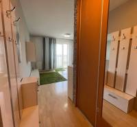 Prenájom 1 izbový byt v Galante, Hodská - Vstupná hala s podlahou s dreveným dekorom v 1-izbovom byte so šatníkom.