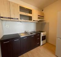 Prenájom 1 izbový byt v Galante, Hodská - Kuchyňa v 1-izbovom byte s dreveným dekorom podlahy a spotrebičmi.