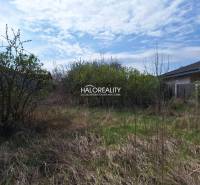 Predaj, pozemok pre rodinný dom   1468 m2 Dvorníky -... - Pozemky - bývanie v Dvorníkoch s kríkmi a trávnatou plochou, ideálne na stavbu.