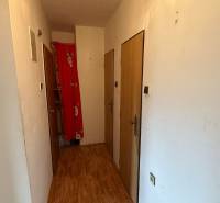 Na predaj 3i byt Pukanec - Chodba v 3-izbovom byte s podlahou s dreveným dekorom a bielymi stenami.