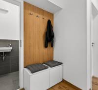 Predaj 2-izbový byt GREEN VILLAGE, 51m2, loggia, Dunajská Lužná - Predsieň v 2-izbovom byte s lavičkou, vešiakmi a umývadlom, podlaha s dreveným dekorom.
