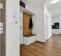 Predaj 2-izbový byt GREEN VILLAGE, 51m2, loggia, Dunajská Lužná - Vstupná chodba v 2-izbovom byte s podlahou s dreveným dekorom a zabudovaným úložným priestorom.