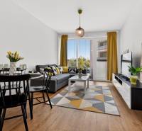 Predaj 2-izbový byt GREEN VILLAGE, 51m2, loggia, Dunajská Lužná - Obývačka v 2-izbovom byte s podlahou s dreveným dekorom, pohovkou a jedálenským stolom.