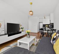 Predaj 2-izbový byt GREEN VILLAGE, 51m2, loggia, Dunajská Lužná - Obývacia izba v 2-izbovom byte s podlahou s dreveným dekorom, pohovkou a televízorom.