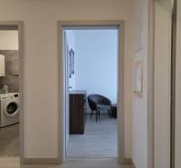 PRENÁJOM - 3 izbový byt v novostavbe - Nitra, blízko centra - Chodba v 3-izbovom byte s práčkou a podlahou s dreveným dekorom.